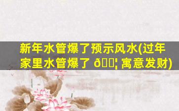 新年水管爆了预示风水(过年家里水管爆了 🐦 寓意发财)